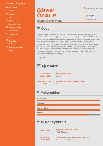 Müzik Öğretmeni Cv Örnekleri cv indir